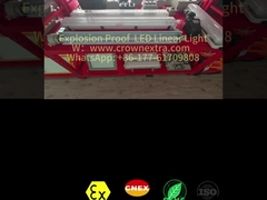 Lámpara fluorescente de acero inoxidable T8 de recubrimiento anticorrosión Grp a prueba de explosión tubo único