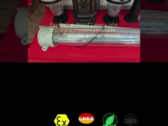 Lámpara fluorescente de acero inoxidable T8 de recubrimiento anticorrosión Grp a prueba de explosión tubo único