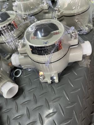 Interruptor selector rotativo a prueba de explosiones de 10 amperios - Certificado CNEX para uso industrial