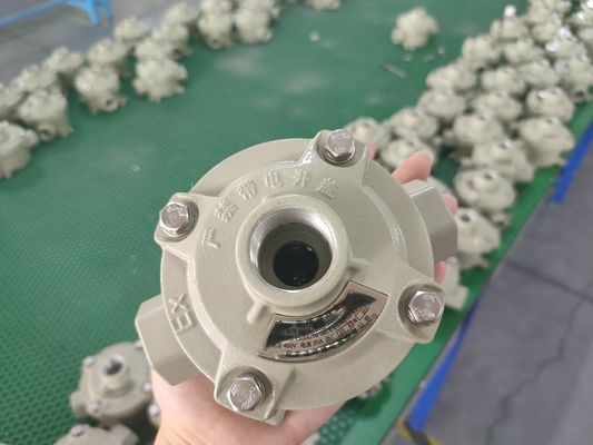 Específico del cable 9mm 13mm Interruptor a prueba de explosión de aluminio de grado marino 10A Interruptor de control de corriente industrial para áreas peligrosas