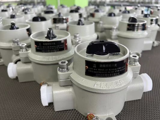 Interruptor selector eléctrico a prueba de explosiones de 220V / 380V con WF2 Zona Gris 22