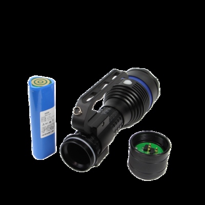 Linterna LED personalizable para servidor, iluminación a prueba de explosiones, IP66, protección WF2