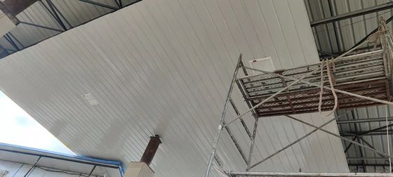 Foco proyector LED a prueba de explosiones con voltaje nominal de 50-60Hz, certificado CE y potencia de 100-250w para aplicaciones industriales