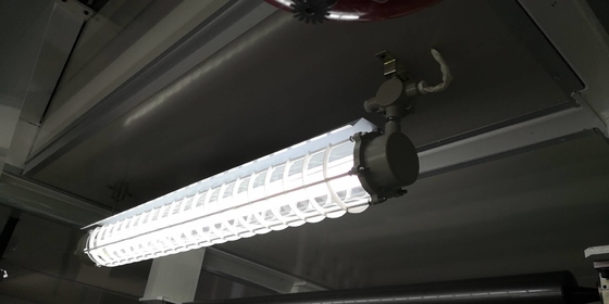 Ex Db Eb IIC T6 Gb/Ex Tb IIIC T80C Db 600 mm Luz fluorescente a prueba de explosión para la zona 1 2 Clase de seguridad II