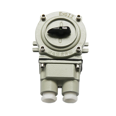 Resistente a la corrosión A prueba de polvo A prueba de agua Superficie de montaje Switch 2 polos SW-10 A prueba de agua Switch IP65