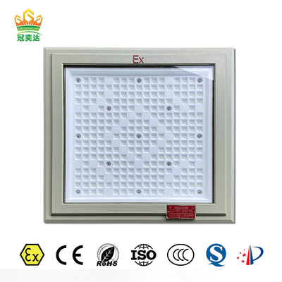 IP66 impermeable para lugares peligrosos Luz de inundación LED Tiempo de vida útil largo 500000 horas