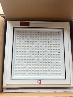 ATEX 18 * 18 pulgadas de forma cuadrada Luz a prueba de explosión 100w 130lm / w Luz de gasolinera con cinco años de garantía