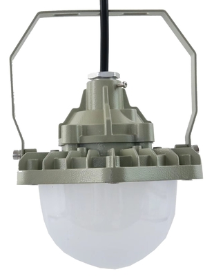 Instalación de iluminación a prueba de explosión para la zona1/2%21/22, GYD8201-DG 30-50W AC220V,50/60Hz,IP66