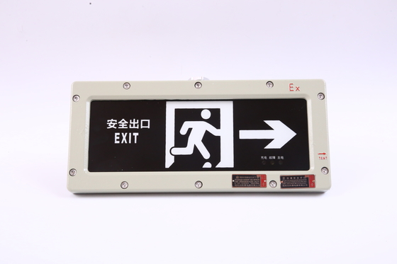 BYY-3w-IP65 Luz de emergencia a prueba de fuego 120 minutos LED 220VAC 24/36VDC 3000/4000/5000/5700K