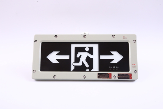 BYY-3w-IP65 Luz de emergencia a prueba de fuego 120 minutos LED 220VAC 24/36VDC 3000/4000/5000/5700K