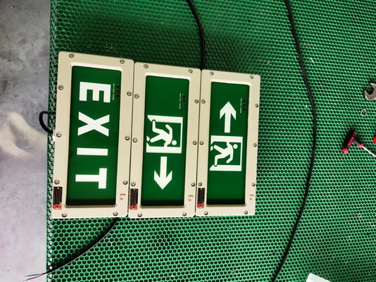 Luces de salida de emergencia a prueba de explosiones compactas OEM – IRC ≥70, Certificadas ATEX / IECEx / RoHS / CNEX / ISO9001, Diseño personalizable para áreas peligrosas