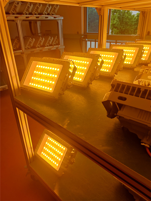 50W 100W 200W 250W Luz de inundación LED a prueba de explosión Certificado ATEX IECEx RoHS CNEX ISO9001
