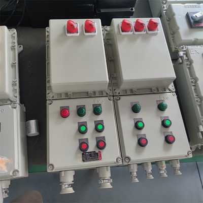 Panel de control WF2 a prueba de explosión con entrada de cable personalizada con certificación ATEX