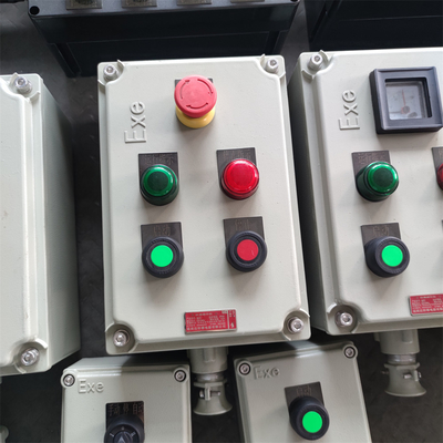 Panel de control a prueba de fuego con protección IP66/WF2 para entornos peligrosos