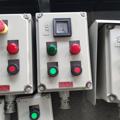Panel de control a prueba de fuego con protección IP66/WF2 para entornos peligrosos