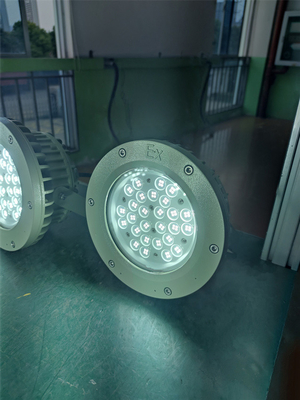 Ex Proof High bay Light 180lm/w ATEX Resistente a la corrosión IP66 Led para el techo exterior 50W-250W