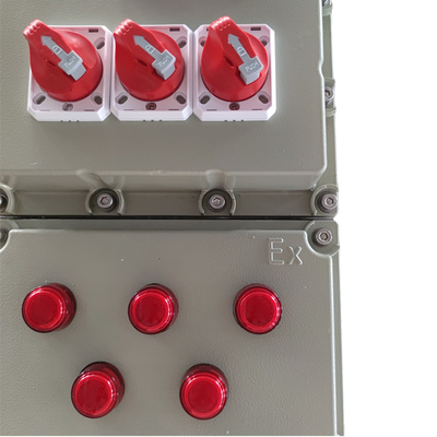Panel de control de aluminio instalado en la pared IP66 Ex Db Eb IIC T6 Gb Ex Tb IIIC T80.C Db