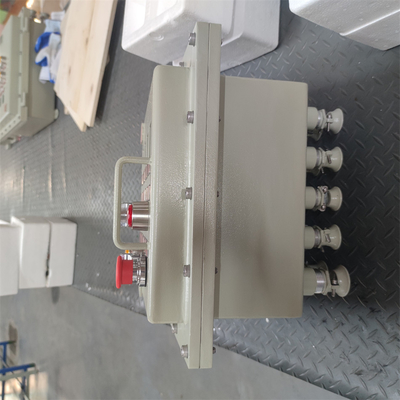 Cajas de unión ignífugas certificadas ATEX RoHS amplias OEM disponibles AC220/380V
