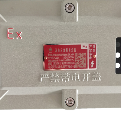 Luz de emergencia a prueba de explosiones con certificación ATEX – Iluminación de seguridad LED compacta para entornos industriales peligrosos