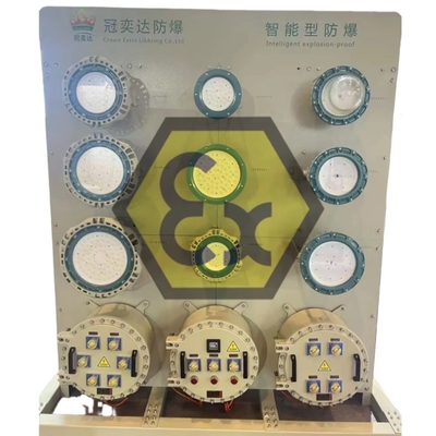 ATEX Paneles de distribución de energía de iluminación a prueba de explosión IP66 A prueba de corrosión para zonas marinas/offshore peligrosas 1