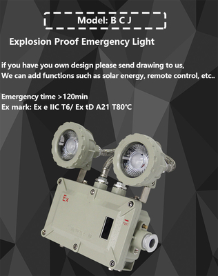 BCJ luces de emergencia LED a prueba de explosión con vida útil de 50000h y servicio OEM