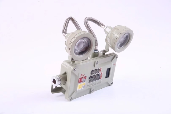 Iluminación de emergencia industrial a prueba de fuego de 2*3Watt 220VAC 24/36VDC