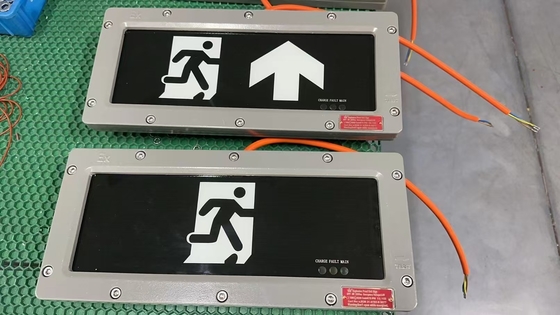 Zona 1 Luz de emergencia de aluminio con CRI Ra≥70 y tiempo de emergencia de 90 minutos