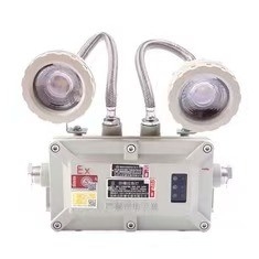 Luz de emergencia a prueba de explosión 2*3Watt LED 220VAC 24/36VDC para la zona 1 2
