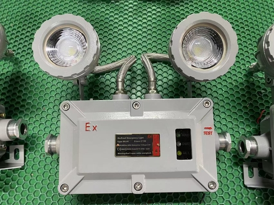 Luz de emergencia a prueba de llama de aleación de aluminio 2x3W