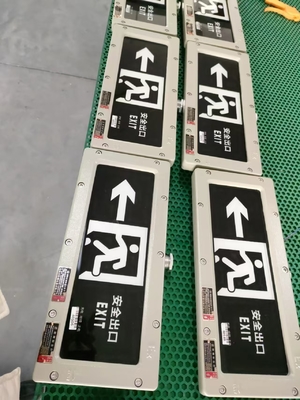 4500-6500K Luz de salida a prueba de llamas de emergencia 2*3Watt 220VAC 24/36VDC Montado en pared/techo