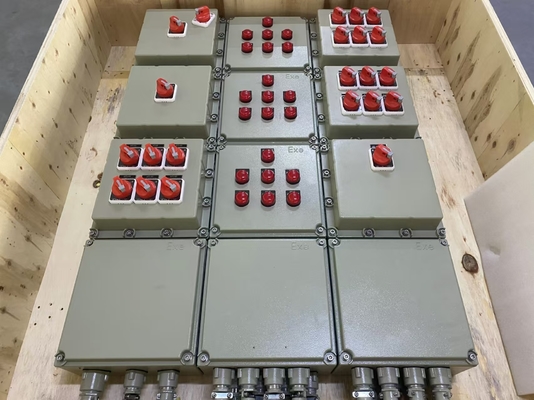 Panel a prueba de explosión de 2 mm con protección IP54/IP65/IP66 y construcción de acero al carbono / aluminio