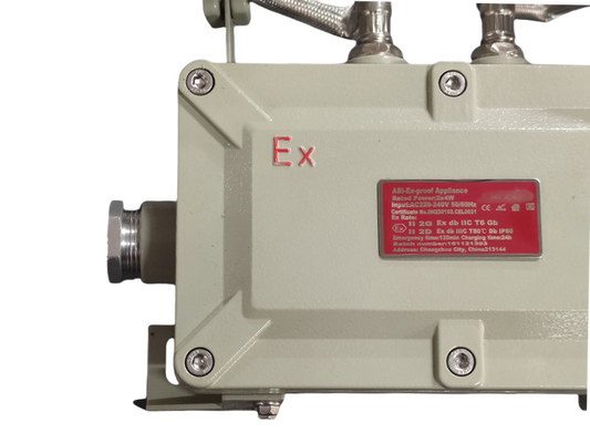 2*5w Luces de emergencia a prueba de explosión de pared y techo para situaciones peligrosas