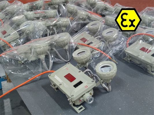 Luz de emergencia LED a prueba de explosiones de 2x5W IP65 – Recargable para áreas peligrosas