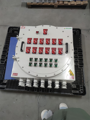 220vac Paneles de control ignífugos Atex Cnex de aluminio de grado marino Wf2 Ip66