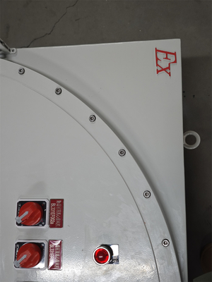 ATEX 380V Paneles de control ignífugos Panel de distribución de energía industrial Material de aluminio anticorrosión IP66 para zona peligrosa1 2 21 22 Corriente nominal ≤ 250A