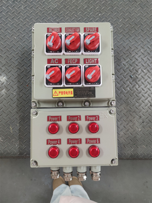 Panel de control a prueba de llamas a prueba de pared con voltaje nominal personalizable ATEX CNEX Certificación ISO9001 para soluciones marinas de petróleo y gas