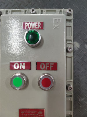 10 mm de espesor a prueba de explosión a prueba de llamas caja de control de estación IP66 anticorrosión cable de entrada personalizado alta fiabilidad para la zona de gas del aeropuerto