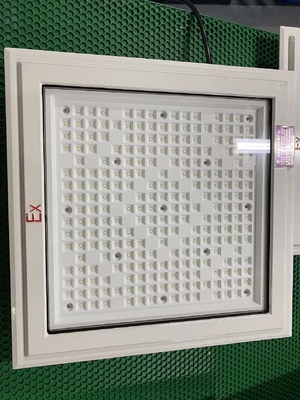 Luz de inundación LED a prueba de explosión con lámpara CREE y categoría de 50-240W