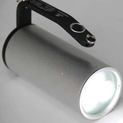 Iluminación a prueba de explosión del servidor personalizable LED Protección IP66 WF2