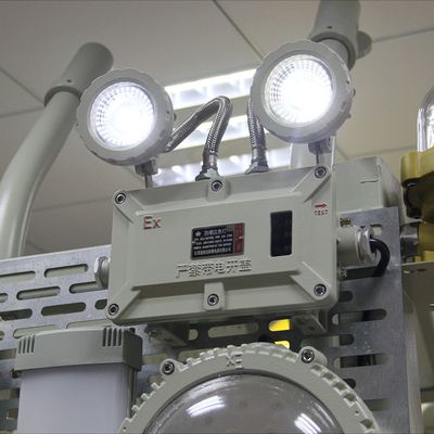 Luz de inundación LED a prueba de llamas en tierra y en alta mar personalizable versátil
