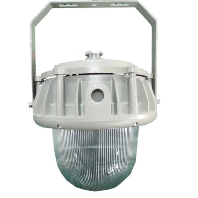 Las luces LED a prueba de explosión disponibles con cubiertas planas/de cúpula personalizables, libres de mantenimiento y certificadas por IECEx