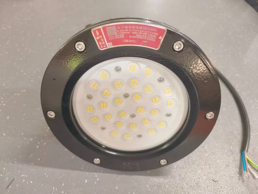 Luz LED a prueba de explosión 100-240W ATEX IECEx Certificado IP66