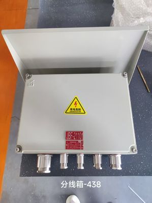 Caja de conexiones a prueba de explosiones montada en la pared que protege su equipo eléctrico con facilidad