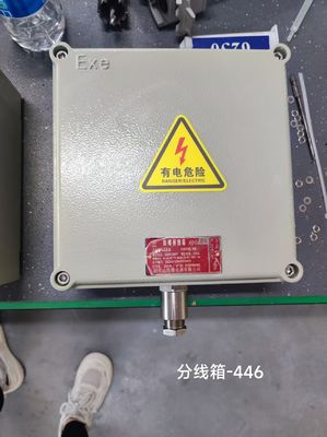 Caja de conexiones a prueba de explosiones montada en la pared que protege su equipo eléctrico con facilidad