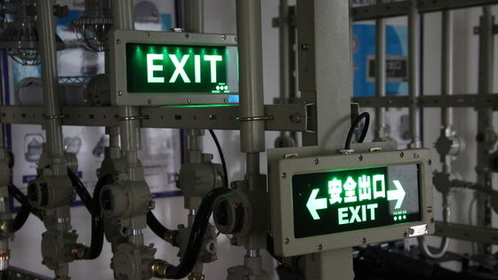 Luces de advertencia de la señal de salida de emergencia a prueba de explosión de alta calidad de Atex Modelos personalizables Luz de señal de salida a prueba de explosión para Zona 1 Zona 2