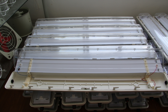 Luminaria LED para áreas peligrosas aprobada por ATEX/IECEx/CNEX, con clasificación IP66, 5 años de garantía, vataje y tamaño personalizables, Luz lineal a prueba de explosiones serie BYS duradera con triple certificación