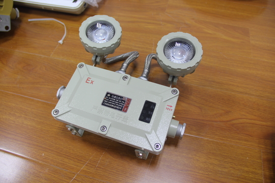 Luz de emergencia incombustible duradera y de larga duración Tiempo de trabajo 120 min Voltado de entrada 50/60 Hz/24VDC/24VAC/36VDC