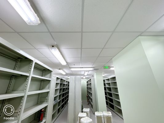 Pharmaceutical Industries Blast Proof Fluorescent Luminaire with Electrical Data Ex d e IIC T6 Gb/ DIP A21 TA