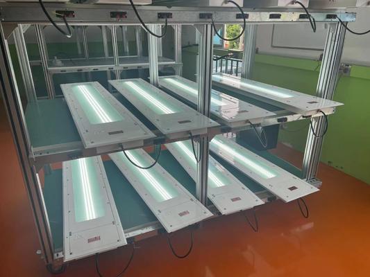 Luz de tubos de alta luminosidad Lámpara fluorescente a prueba de explosiones 100lm/w temperatura de color personalizada 5 años de garantía Atex