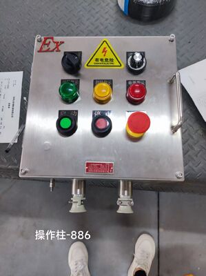 Caja de conexiones a prueba de explosiones de acero inoxidable con orificio personalizable M/G/NPT Exd II C T6 Gb Ex-Marca